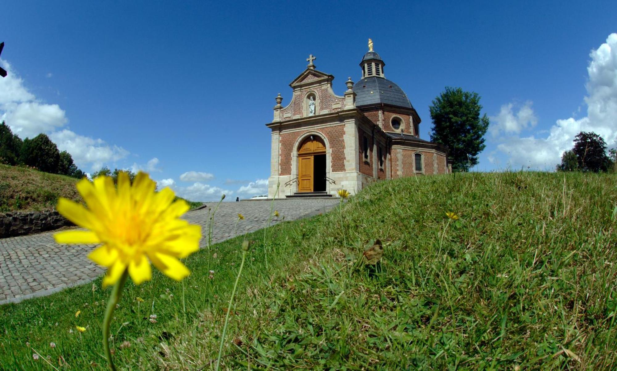 Vakantiewoning Hakuna Matata Geraardsbergen Εξωτερικό φωτογραφία